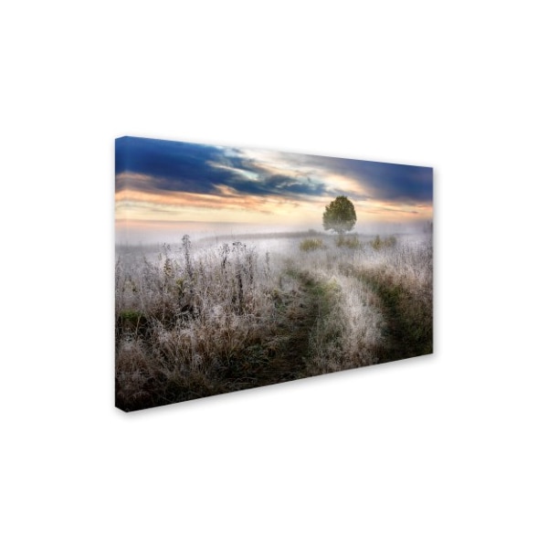 Kirill Volkov 'Frosty Morning' Canvas Art,16x24